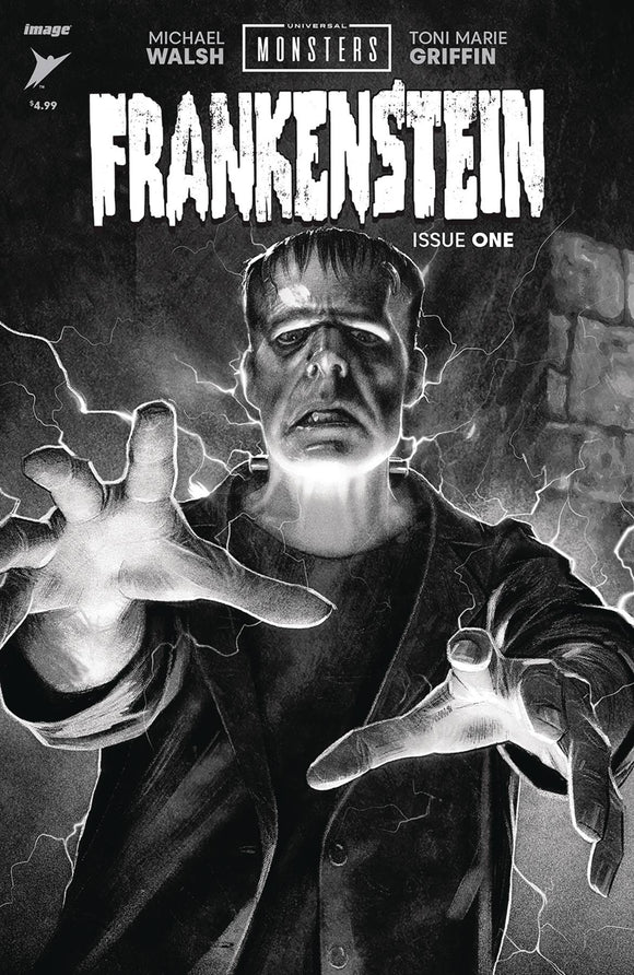 UNIVERSAL MONSTERS FRANKENSTEIN #1 (OF 4) CVR D 25 COPY INCV