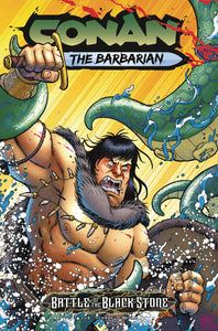 CONAN BARBARIAN BATTLE BLACKSTONE #1 (OF 4) CVR E FLEECS