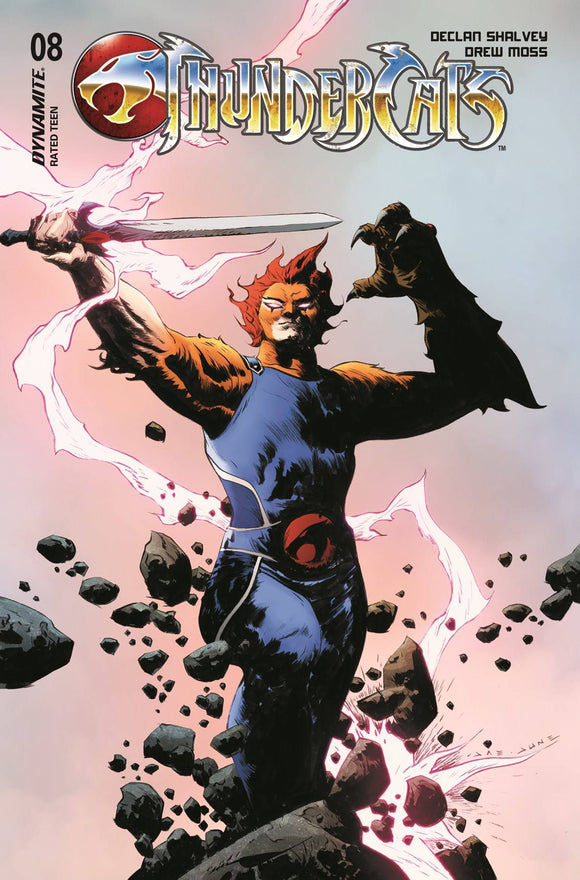 THUNDERCATS #8 CVR D LEE & CHUNG