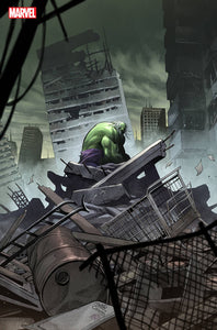 INCREDIBLE HULK #19 MARTIN COCCOLO STORMBREAKERS VAR