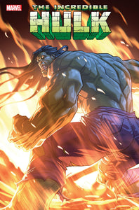 INCREDIBLE HULK #19 PETE WOODS VAR