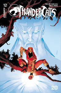 *Pre-Order* THUNDERCATS #12 CVR B SHALVEY