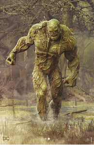 Swamp Thing # 1  Bjorn Barends NYCC Exclusive Virgin Variant