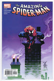 Amazing Spider-Man  Vol. 2  # 55  (2003)