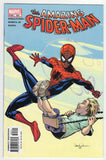 Amazing Spider-Man  Vol. 1  # 502  (2004)