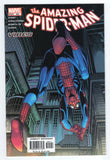Amazing Spider-Man  Vol. 1  # 505  (2004)