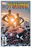 Amazing Spider-Man  Vol. 1  # 510  (2004)