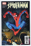 Amazing Spider-Man  Vol. 1  # 518  (2005)