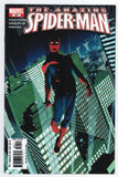 Amazing Spider-Man  Vol. 1  # 522  (2005)
