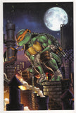 Teenage Mutant Ninja Turtles  Vol. 6  # 101  Exclusive Cabaltierra Variant  (2000)
