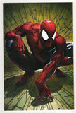 Spider-Man  Vol. 1  # 1  Facsimile  Crain  Exclusive Virgin Variant  (2020)
