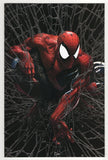 Spider-Man  Vol. 1  # 1  Facsimile  Crain Exclusive Silver Virgin Variant  (2020)