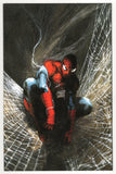 Amazing Spider-Man  Vol. 6  Dell'Otto  SPM1 Homage Virgin Exclusive  (2025)