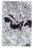Spider-Man  Vol. 1  # 1  Facsimile  Willis Metal AP Exclusive