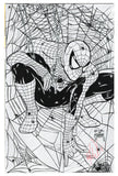 Spider-Man  Vol. 1  # 1  Facsimile  Willis Metal Exclusive Signed by Kyle Willis