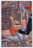 Peter Parker: Spider-Man  # 1  (1999)