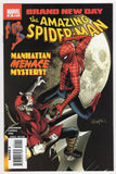 Amazing Spider-Man  Vol. 1  # 551  (2008)