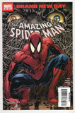 Amazing Spider-Man  Vol. 1  # 553  (2008)