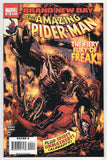Amazing Spider-Man  Vol. 1  # 554  (2008)