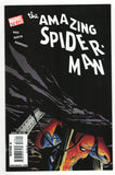 Amazing Spider-Man  Vol. 1  # 578  (2009)