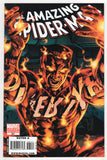 Amazing Spider-Man  Vol. 1  # 581  McKone Variant  (2009)