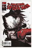 Amazing Spider-Man  Vol. 1  # 576  (2009)
