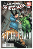 Amazing Spider-Man  Vol.  1  # 668  (2011)
