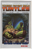 Teenage Mutant Ninja Turtles  Vol. 1  # 19  (1989)