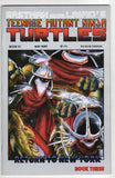 Teenage Mutant Ninja Turtles  Vol. 1  # 21  (1989)