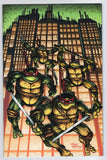 Teenage Mutant Ninja Turtles  Vol. 7  # 20 (300)  Eastman Virgin Variant  (2026)