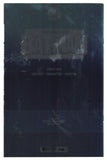 Absolute Batman  # 19  Schmidt Foil Exclusive  (2026)