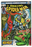 Amazing Spider-Man  Vol. 1  # 124  (1973)