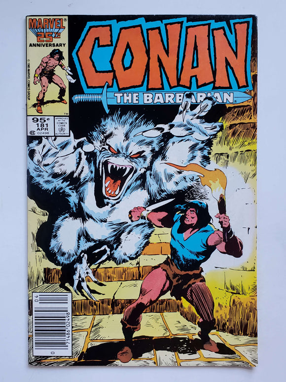 Conan the Barbarian Vol. 1 #181 Variant