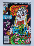 Ghost Rider Vol. 1  #80 Variant