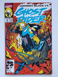 Ghost Rider Vol. 2  #14