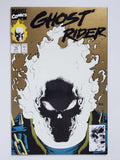 Ghost Rider Vol. 2  #15 Variant