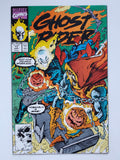 Ghost Rider Vol. 2  #17