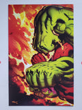 Hulk Vol. 3  #24