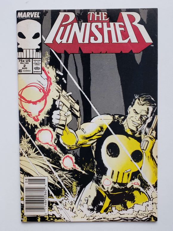 Punisher Vol. 2  #2