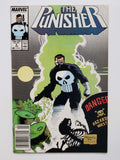 Punisher Vol. 2  #6