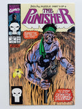 Punisher Vol. 2  #39