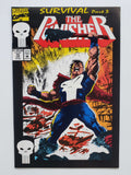 Punisher Vol. 2  #79