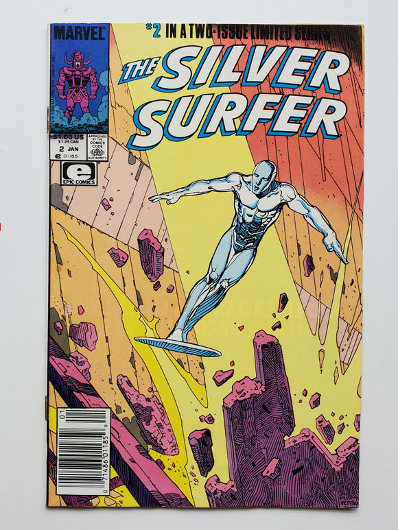 Silver Surfer: Parable  #2