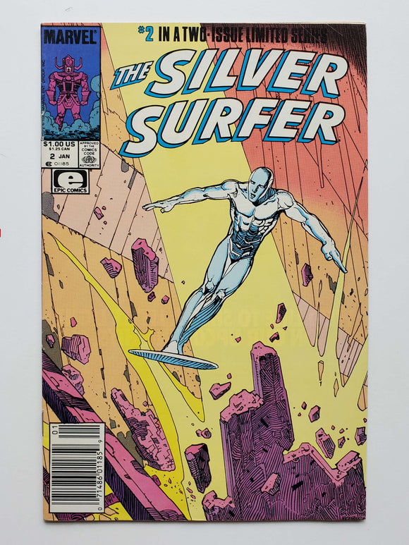 Silver Surfer: Parable  #2