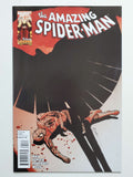 Amazing Spider-Man Vol. 1  #624