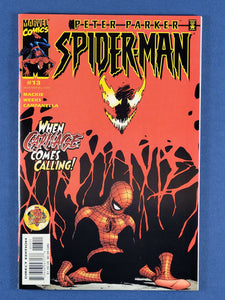 Peter Parker: Spider-Man Vol. 1  #13