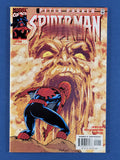 Peter Parker: Spider-Man Vol. 1  #22