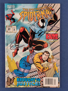 Spectacular Spider-Man Vol. 1  #224  Newsstand