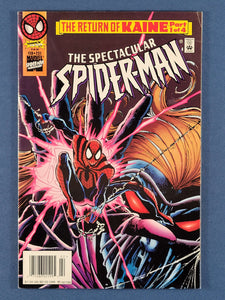 Spectacular Spider-Man Vol. 1  #231  Newsstand