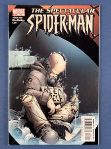 Spectacular Spider-Man Vol. 2  #22